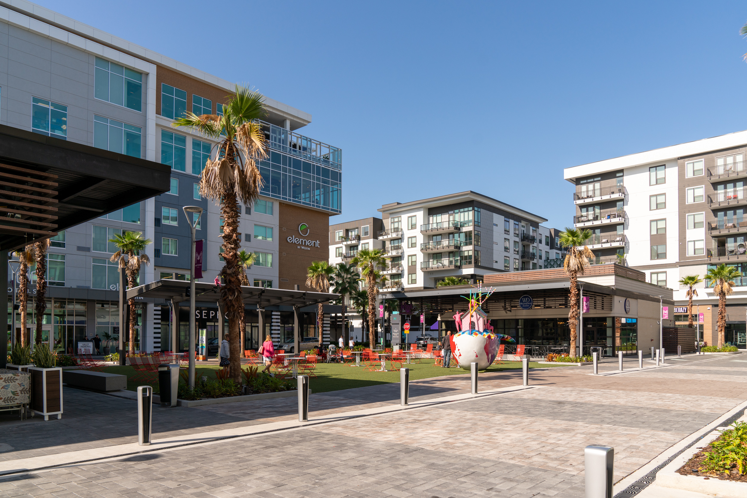 Downtown Tampa Activity